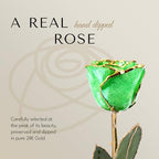 Forever Rose Hand-Dipped in 24K Gold, Peridot-Inspired August Birthstone with Sparkles, Real Rose in Luxury Gold Gift Box & Clear Glass Bud Vase – Perfect Ready for August Birthday or Any Occasion - color: August Peridot