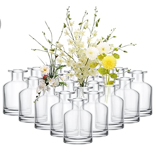 Mimorou 24 Pack Clear Glass Bud Vases Bulk Small Vintage Glass Bottles for Rustic Wedding Centerpieces, Table Decor, Flower Arrangements Mini Floral Vases for Home Party, Reception(2 x 2.8 in) - size: 2 x 2.8 In