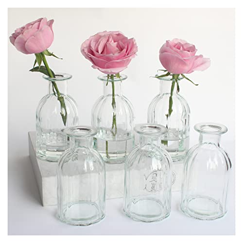 Bud Vases Set of 6 Small Glass Vase for Flowers, Clear Vase Set for Wedding Decor, Home Decorative Vases for Table Shelf, Mini Bud Vases in Bulk 2.85"X 5.4" - size: 6 Pcs