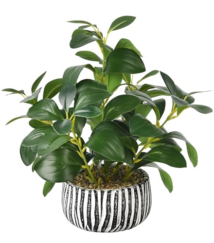 florisso Artificial Succulents with Fig Leaf Greenery in Rustic Clay Planter, Fake Succulents Potted Decor for Farmhouse, Bathroom, Bedroom, Kitchen, Office Desk and Coffee Table (Black White) - color: White & Black Cement Planter