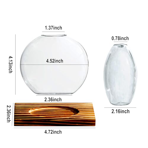 Glass Planter Propagation Station with Wooden Base - Clear Oblate Hydroponic Vase, Decorative Desktop Flower Vase for Home, Office, Windowsill - Gift for Plant Lovers (2)