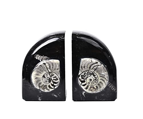 AMOYSTONE Heavy Duty Sturdy Bookends for Shelves, Morocco Orthoceras Fossil Heavy Bookends Stopper 6-8 LBS for Home Office Books with Rubber Bumpers (1 Pair Height 6.2") - color: Black & White D, size: 6-8 Lbs