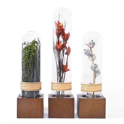 3Pcs Dried Flower Decor,Knick Knacks for Shelves,Cool Stuff for Bookshelf,Small Plants Decor for Office Shelves,Natural Green Plants Boho Shelf Decor,Apothecary Decor,Unique Gifts for Women,Friends - color: Vintage Red Trio,3-piece Set