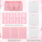 AceOrbit Pink Bow Wood Block Perpetual Calendar Coquettish Desk Decor Cute Month Week Date Display Decorative Block Calendar for Women Office Home Desk Gift for Women - style: Pink Bow