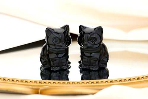 QINJIEJIE Black Obsidian Cat Decor Statue Carved Stone Figurine Healing Crystals Gift Natural Gemstone Home Sculpture Office Room Desk Decoration Sitting Black Cat Gifts for Men Stocking Stuffers - color: N-black Obsidian, size: 1.5 inches