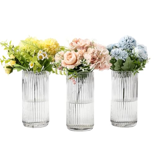 Clear Glass Vases, Flower Vases Set of 3, Ribbed Glass Vase for Tulips, Tall Cylinder Glass Vases for Living Room, Bedroom, Dining Table, Office, Wedding, Bookshelf Decoration, 8 Inches - color: Clear, size: 8'' X 3Pack