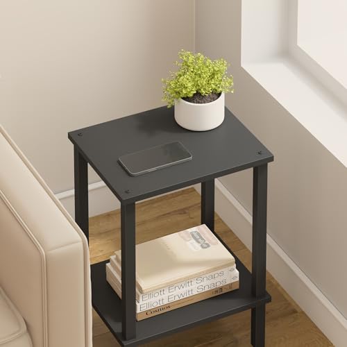 TUTOTAK End Table, Side Table, Nightstand, 2-Tier Storage Shelf, Sofa Side Table for Small Space, Living Room, Bed Room Black TB01BK034 - color: Black