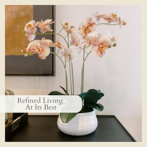 CG Hunter Faux Orange Orchid Plant, Premium Artificial Indoor Flower Display Stands 23”, Beautiful Sculptural Blooms That Lasts Forever, White Planter Pot Included - size: 23" Orange 4-Stem Orchid