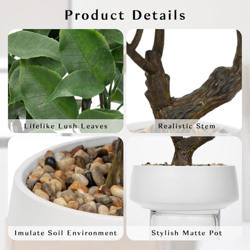 Artificial Bonsai Tree, Small Ficus Bonsai Tree 13" Indoor Bonsai Tree Fake Potted Plant Decorative Fake Desk Plant Decor with Ceramic Pot for Home Office Living Room Bedroom Bathroom Table Shelf - style: Chinese