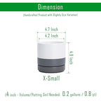 D'vine Dev Set of 4 Small Ceramic Plant Pots, 4.7 Inch Succulent Planter Pot for Plants with Drainage Hole and Saucer, White/Speckled Grey, 94-X-B-6 - color: White/Speckled Grey, size: 4.7 Inch