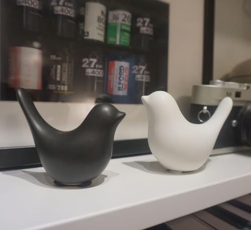 Birds Decorations for Living Room,Minimalis Statues Bookshelf Decor,Cute Decor Aesthetic for Dorm, Bedroom, Bathroom,Office(Black&White) - color: Black&white, size: S&M