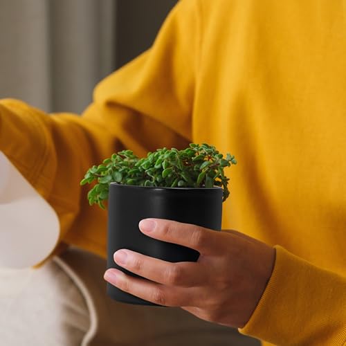 D'vine Dev Set of 2 Plants Pots, 3.5 Inch Ceramic Planter Pot for Plants with Drainage Hole and Saucer, Black, 94-V-A-2 - color: Black, size: 3.5 Inch