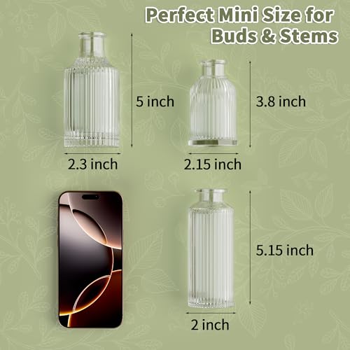 Glass Bud Vase Set of 3, Small Ribbed Flower Vases for Centerpieces, Clear Vintage Glass Bud Vases for Table Decorations, Home Decor, Wedding, Party, Anniversary