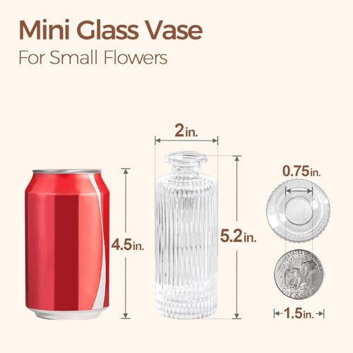 ComSaf Small Vases for Flowers Mini Clear Glass Bud Vases in Bulk, 5.2 inch Tall Mini Flower Vase, Vases for Centerpiece, Ribbed Vase, Wedding Table Ceterpiece, Home Decor, Housewarming Gift (Clear) - size: 6 Pcs