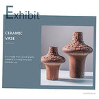 ABOOFAN 1Pc Abstract Art Vase Unique Decorative Flower Arrangement Holder for Home and Office for Centerpieces and Zen Decor