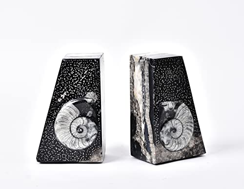 AMOYSTONE 1Pair Decorative Book Ends Natural Orthoceras Fossil Bookends Small 4-5 LBS Trapezoid Morocco Fossil Books Holder Height 4.7" - color: Black & White a, size: 4-5 Lbs
