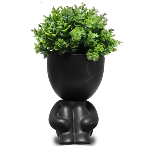Zerzsy Fake Plants Artificial Succulents Plants for Room Bathroom Home Office Desk Cute Fake Plant Decoration - Set of 1 - color: Black-a