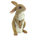 Design Toscano QM200681 Hopper the Bunny Standing Rabbit Indoor/Outdoor Garden Statue, 6 Inches Wide, 11 Inches Tall, Handcast Polyresin, Full Color Finish - style: Hopper