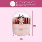 Paris Hilton Makeup Storage Organizer with Lid, Cosmetics and Skincare Organizer for Vanity, Portable Makeup Storage Box for Countertop, Fluted Design with Gold Accents, Pink - style: Organizer Box