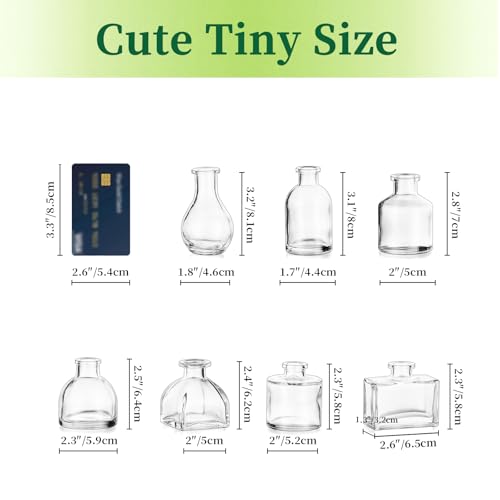 Hewory 2.3'' Mini Bud Vases: 28Pcs Small Clear Glass Vases Bulk for Wedding Party Table Accent - Tiny Decoration for Babies Breath Wildflowers