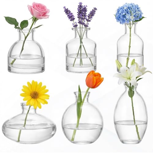 Glass Bud Vases Set of 6, Small Clear Flower Vases for Wedding Centerpiece Vintage Mini Glass Flower Bottles for Floral Arrangement Party Home Office Dining Table Decor - color: Clear