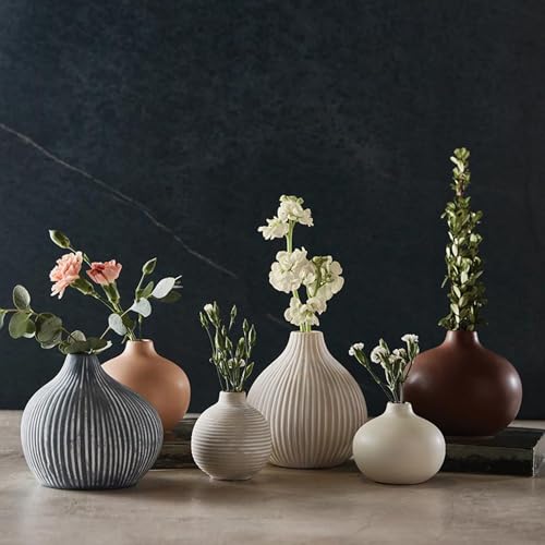 47th & Main Ceramic Vases for Flowers Modern Minimalist Small Vase for Home Décor, 3.5" Diameter x 3" Tall, Matte White - color: Matte White