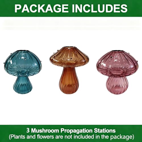 Glass Mushroom Propagation Planter - Set of 3 Cute Plant Propagation Stations for Indoor Plants, Unique Small Hydroponic Vase Jars Mini Terrariums for Window Living Room Bathroom Shelf Decor