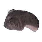 Design Toscano Giant Allosaurus Dinosaur Wall Trophy Sculpture, Mouth Closed - style: Allosaurus Dinosaur: Mouth Closed