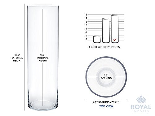 Royal Imports Flower Glass Vase Decorative Centerpiece for Home or Wedding - Cylinder Shape, 16" Tall, 4" Opening, Clear - size: 4" wide x 16" tall