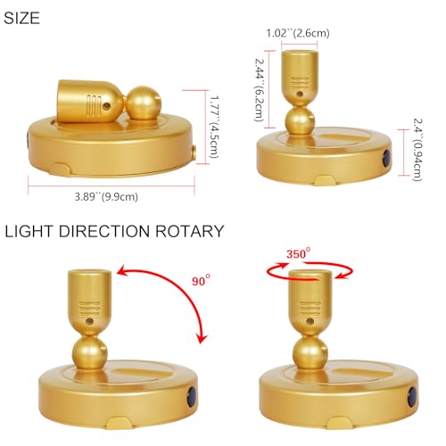 HAMVIDNE Indoor Spotlight, Battery Operated Spotlights with Remote, Picture Lights for Wall, Plant Tree Spotlight with Timer, Up Lights for Art Display Dartboard Painting Artwork Accent Frames-Gold - color: Gold