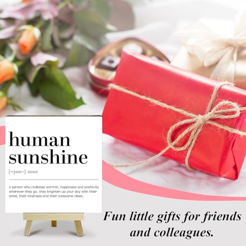 Home Office Decor, Human Sunshine Definition Desk Decor, Employee Appreciation Gifts, Admin Professionals Day Gifts, Teacher Mentor Gifts (MP09), Wood - color: MP09