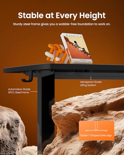 ErGear Height Adjustable Electric Standing Desk, 48 x 24 Inches Sit Stand up Desk, Memory Computer Home Office Desk, Carbon Fiber Black - color: Carbon Fiber Black, size: 47.2 x 23.6 Inches