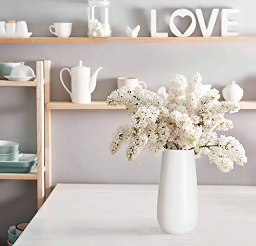 D'vine Dev 10 Inch White Elegant Oval Ceramic Vase for Flowers, Home Décor Vase with Design Box, VS-LD-B-4 - color: White, size: 10 Inch