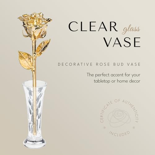 Forever Rose The 24K Gold Dipped Rose, Custom Laser Engraved Gold Flower in an Elegant Glass Vase & Gift Ready Box, Handcrafted Luxury Anniversary, Birthday, Wedding or Valentine’s Keepsake - color: Gold