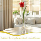 Hand Made Blown Art Bud Glass Vase Single Stem Cylinder Vases Decorative Glass Bottles for Flowers Centerpieces Wedding Party Home and Office Décor