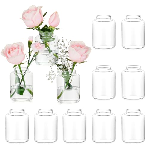 Hewory Small Bud Vases Set of 12: Clear Glass Vases for Flowers - Modern Bud Vase Bulk for Wedding Centerpieces Baby Shower Parties Rehearsal Dinner Table Decorations