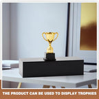 Chunful Black Acrylic Display Box Riser Trophy Base Acrylic Pedestal Stand Block Versatile Trophy Diorama Base and Storage for Photography Props Home Office Decor Showing(16" L X 6" W X 4" H) - size: 16" W X 6" D X 4" H