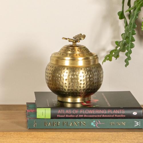 Creative Co-Op Round Hammered Metal Container with Butterfly Finial, Brass Finish - style: Butterfly