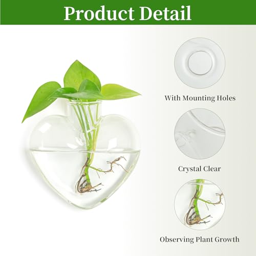 XXXFLOWER Wall Hanging Glass Terrariums，Clear Planters Propagation Station Glass Flower Vase,Air Plant Terrariums for Hydroponic Plants,Home Office Decor,Gifts,Heart-Shaped Set of 2 - size: 2 Love Wall Hanging