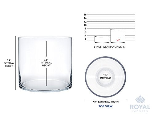 Royal Imports Flower Glass Vase Decorative Centerpiece for Home or Wedding - Cylinder Shape (8" Wide x 8" Tall, Clear) - size: 8" wide x 8" tall