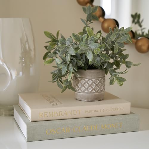 ZICOTO Set of 2 Beautiful Decorative Linen Books - Aesthetic Faux/Fake Books for Modern Home Decoration on Coffee Table, Bookshelf or Mantel - Stylish Keepsake Box and Photo Storage Solution - color: Sage-Beige