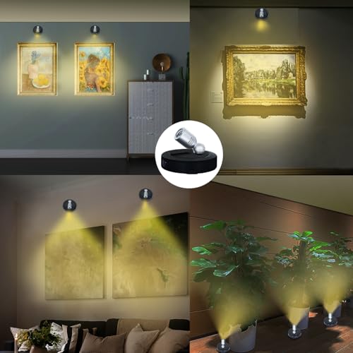 HAMVIDNE Spotlight Indoor, Battery Powered Spot Lights with Remote, Plant Uplights, Timer Dimmable Tree Spotlights, Picture Light for Wall Art Display Dartboard Painting Artwork Accent-2Pack - color: Black-Silver
