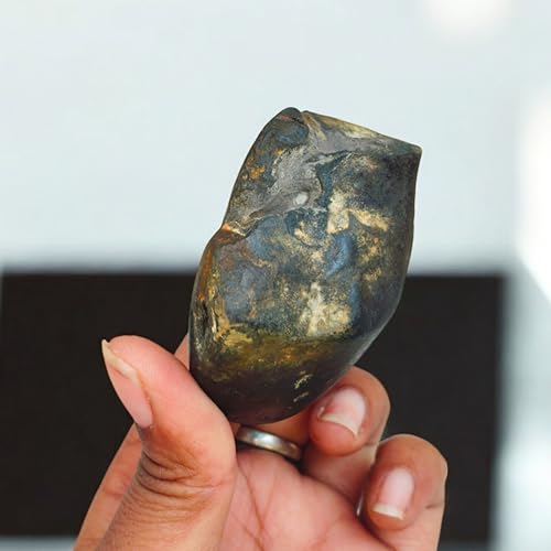 Rare Lakshmi Narayan Shaligram Shila Stone 2" inch from Gandaki River Nepal – 1 Pc Black Shaligram Ji for Pooja, Hindu Rituals, Spiritual Decor & Religious Gifts