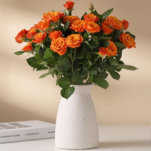 hjn White Flower Vase- Ceramic Vase for Decor, White vase for Flowers, Modern Vases for Living Room/Home Decor Accents/Entryway/Mantel/Bookshel-Frosted White - color: Frosted White-7inch