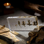 Frog Development Specimen in Resin - Transparent Resin Block Showing Life Cycle from Egg to Adult Frog (5.5 x 2.5 x 0.8 Inches) - color: Frog Development Specimen (5.5" X 2.5" X 0.8")