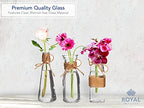 Royal Imports Clear Glass Bottle Bud Vase, Small Single Stem Flower Centerpiece, Mini Decorative Floral Jars, Rustic Farmhouse Home Decor, Kitchen, Fireplace, Shelf, Narrow One Rose Holder, Set of 3 - size: Large (Set of 3)