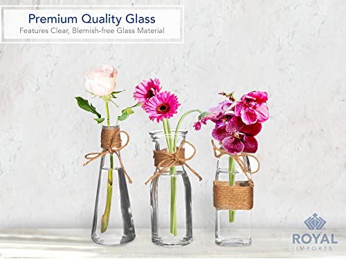 Royal Imports Clear Glass Bottle Bud Vase, Small Single Stem Flower Centerpiece, Mini Decorative Floral Jars, Rustic Farmhouse Home Decor, Kitchen, Fireplace, Shelf, Narrow One Rose Holder, Set of 3 - size: Large (Set of 3)