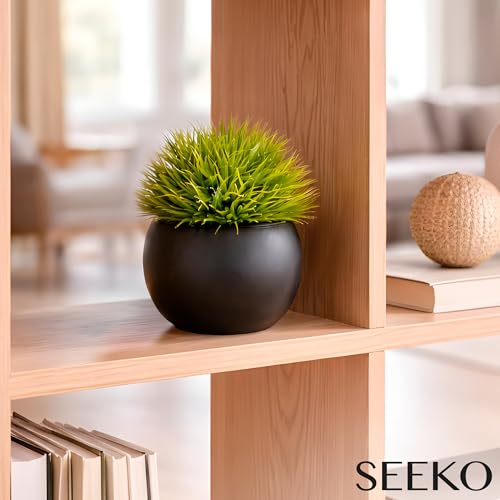 Fake Succulents Plants Artificial in Premium Ceramic Pots (2 Pack Round) Realistic Faux Succulents for Bathroom, Home & Office Décor - style: 2 Pack Round