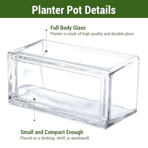 MyGift 7.8 inch Modern Rectangular Glass Vase, Trough Planter, Tabletop Glass Terrarium