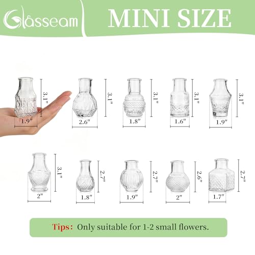 Glasseam Small Bud Vases for Centerpieces: 20PCS Mini Clear Glass Vase Set for Flowers Decor Wedding Party Baby Shower Dining - 2.7" Tiny Table Decorations Centerpiece